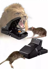 Buy Reusable Mouse Trap Online in Pakistan | Heavy Duty Rat Catcher | VIXAQUICK